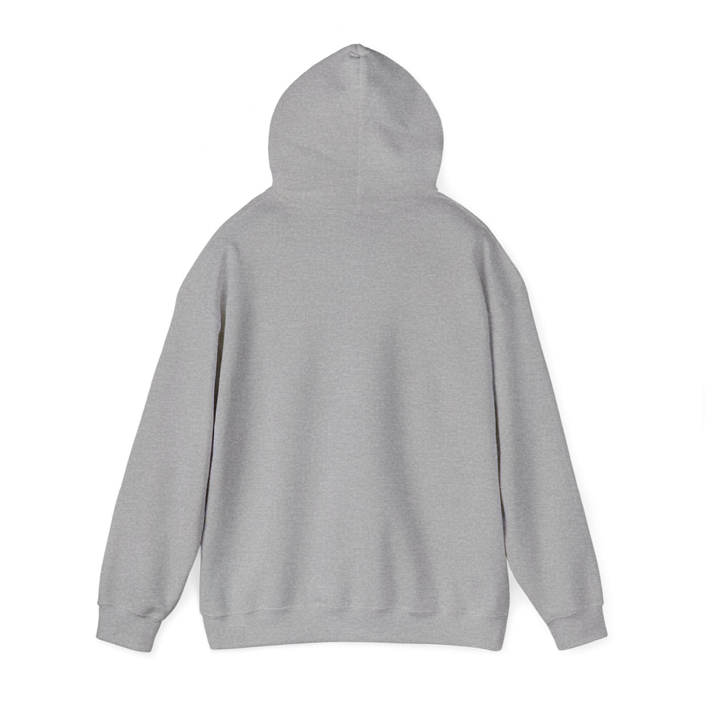 Funny K-drama Mashup Hoodie, Korean Aesthetic Binge Watcher Gift for Her, Cute Graphic Hoodie, Iconic Tropes, Korean Style Cozy Sweatshirt